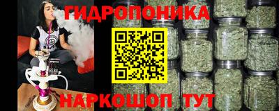PSILOCYBIN Донской
