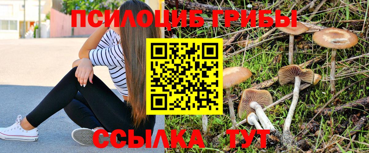 Псилоцибиновые грибы прущие грибы Выборг