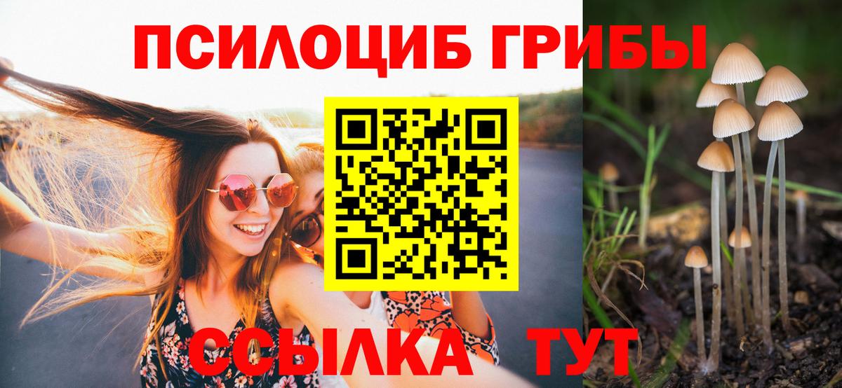 Галлюциногенные грибы MAGIC MUSHROOMS  Вход с VPN  Выборг 